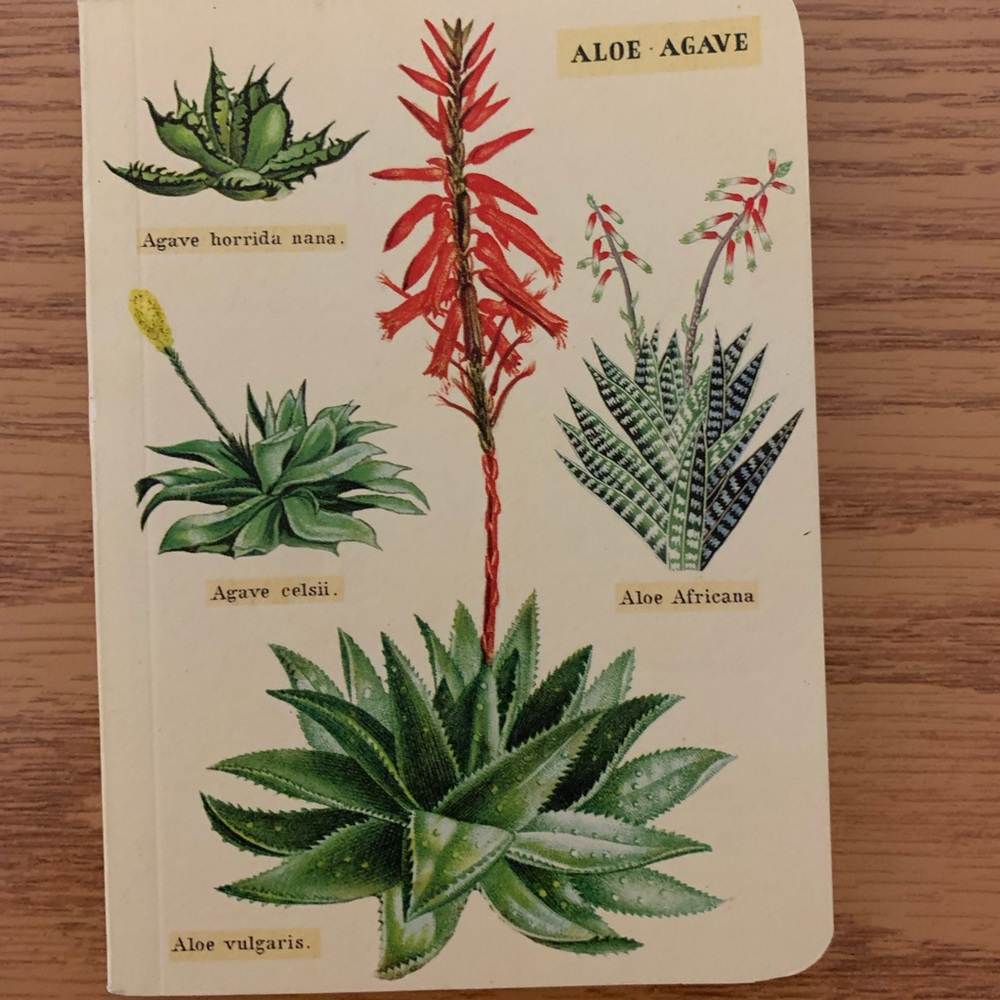 Never used little notebook